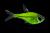 Пристелла GloFish Зеленая